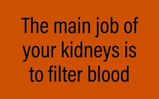 The main job of your kidneys is to filter blood